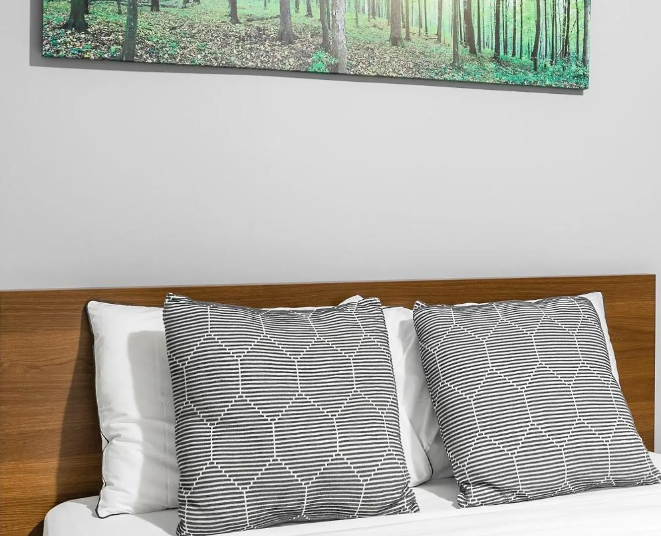 Pet-Friendly 6-Guest Capacity Apt On Ossington Ave Apartment Toronto Canada